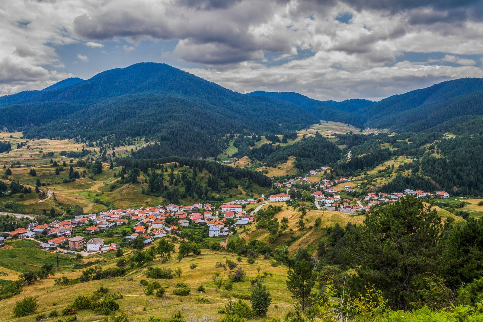 село Ягодина