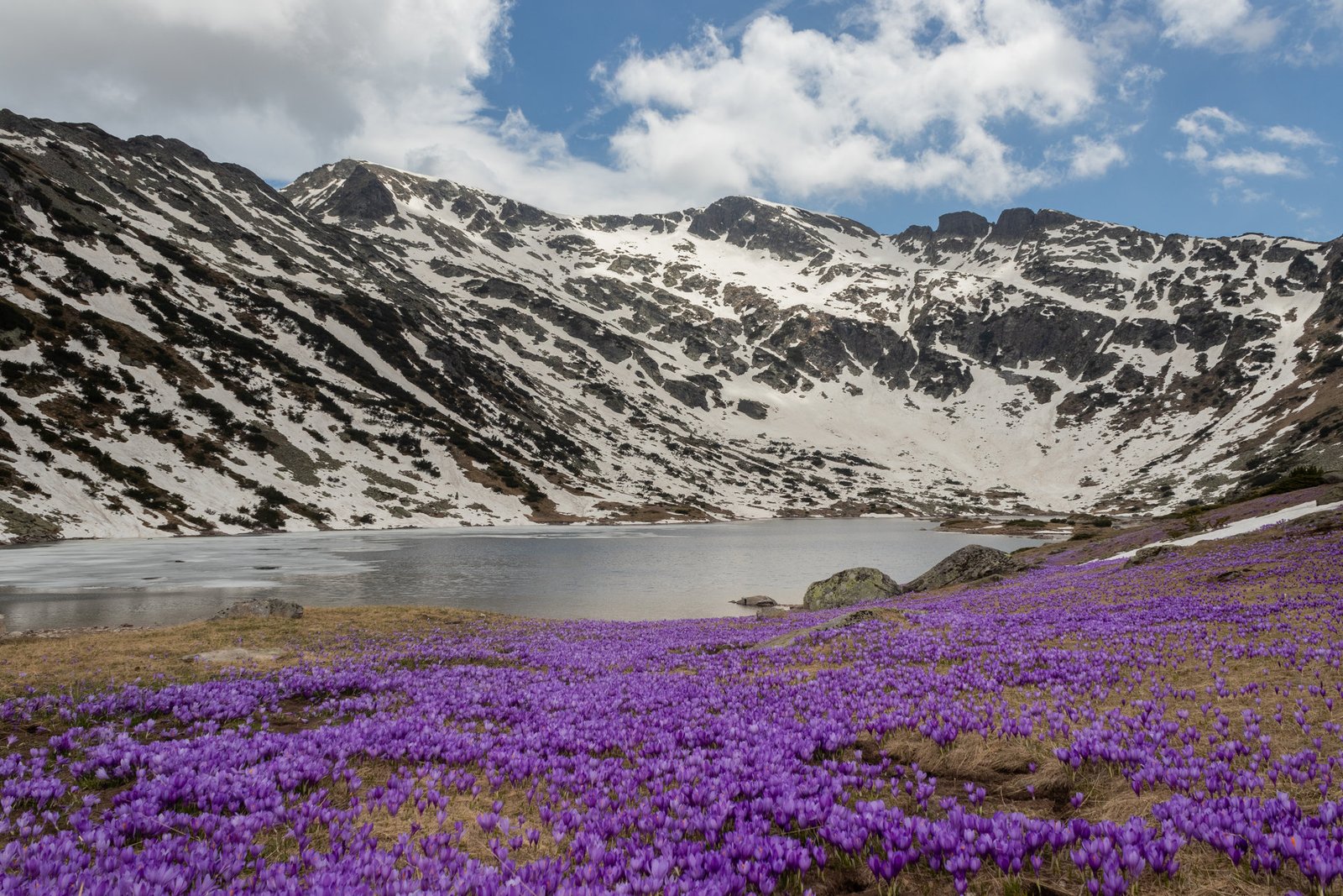 Рибното езеро, Рила