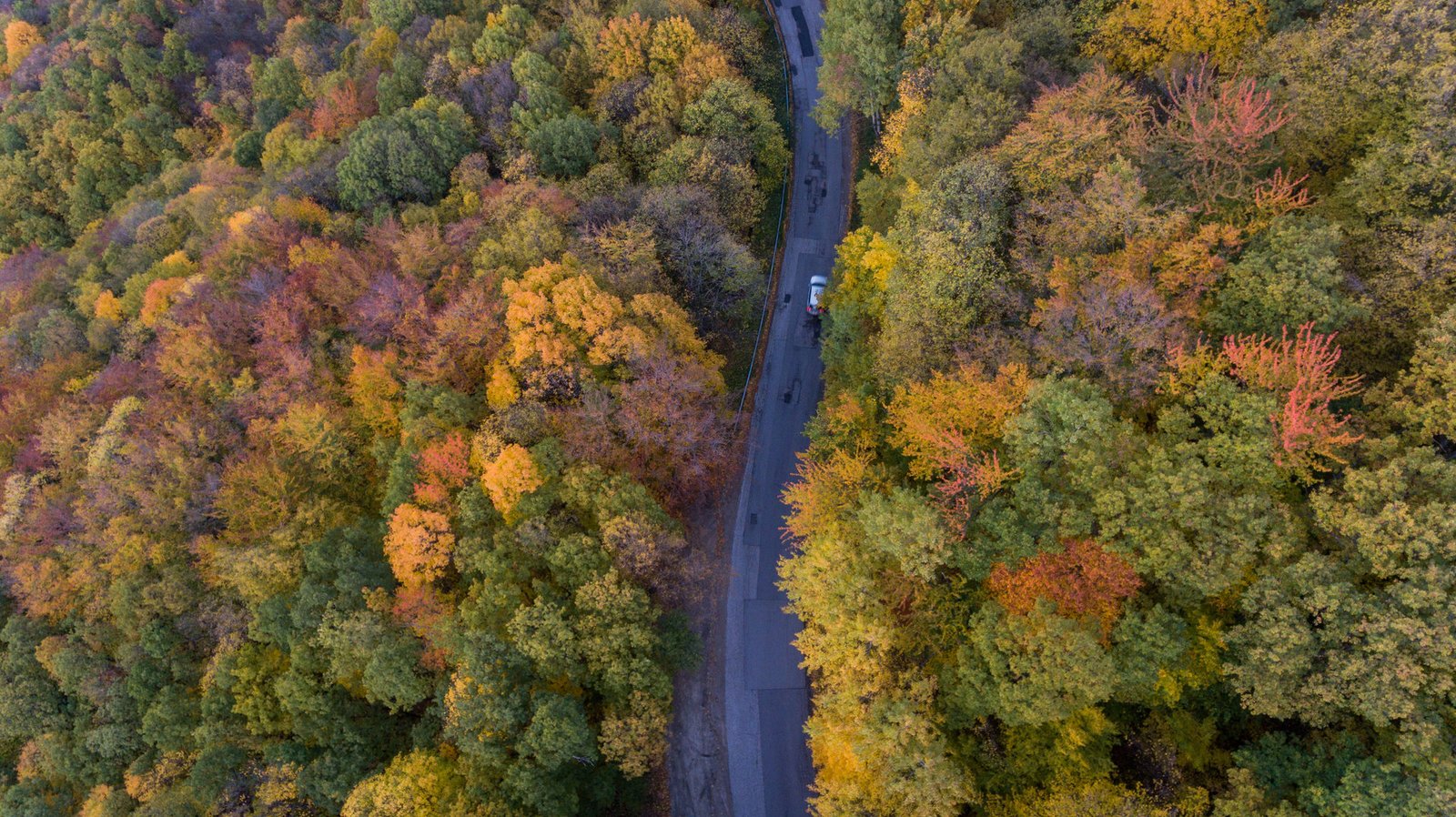 Есенна палитра