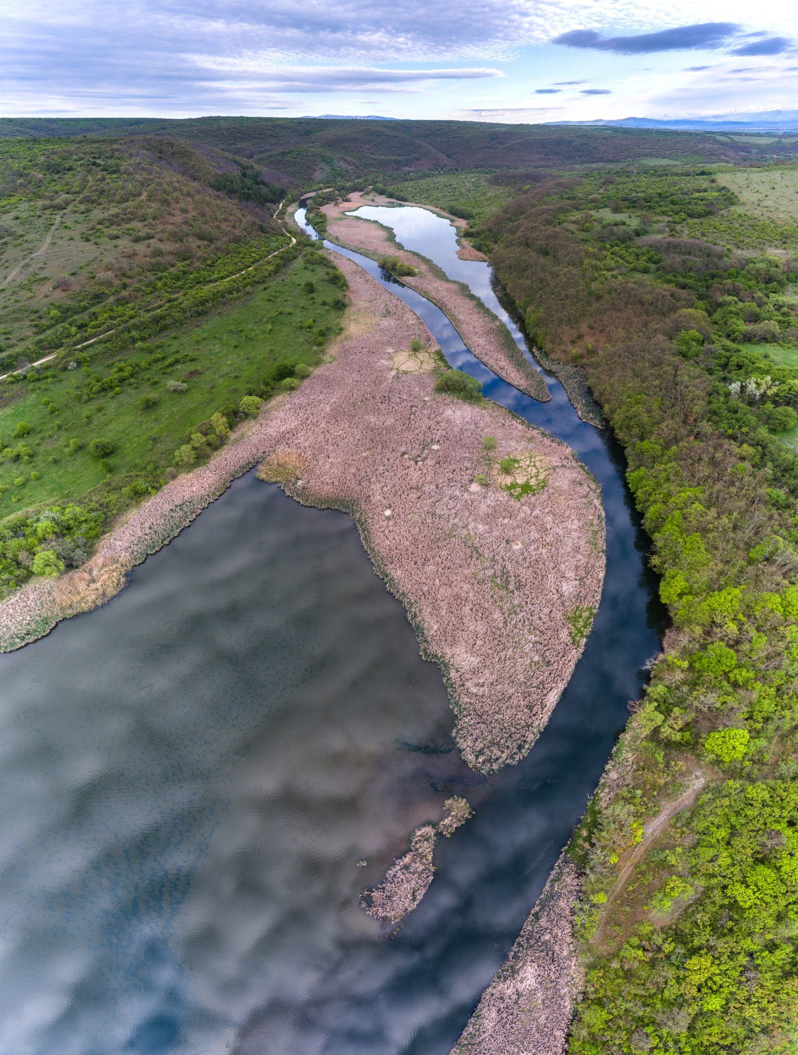 язовир Пчелина